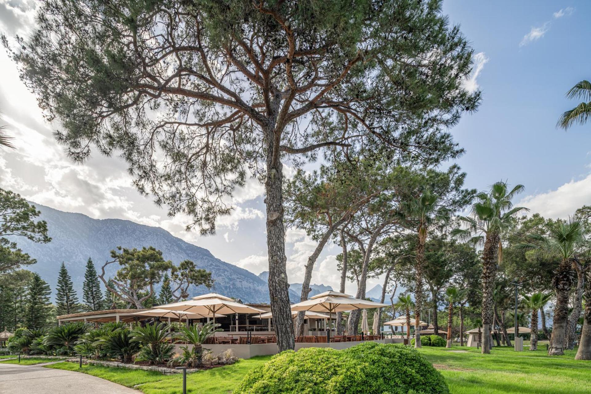 Balmy Foresta Beldibi  Exterior foto
