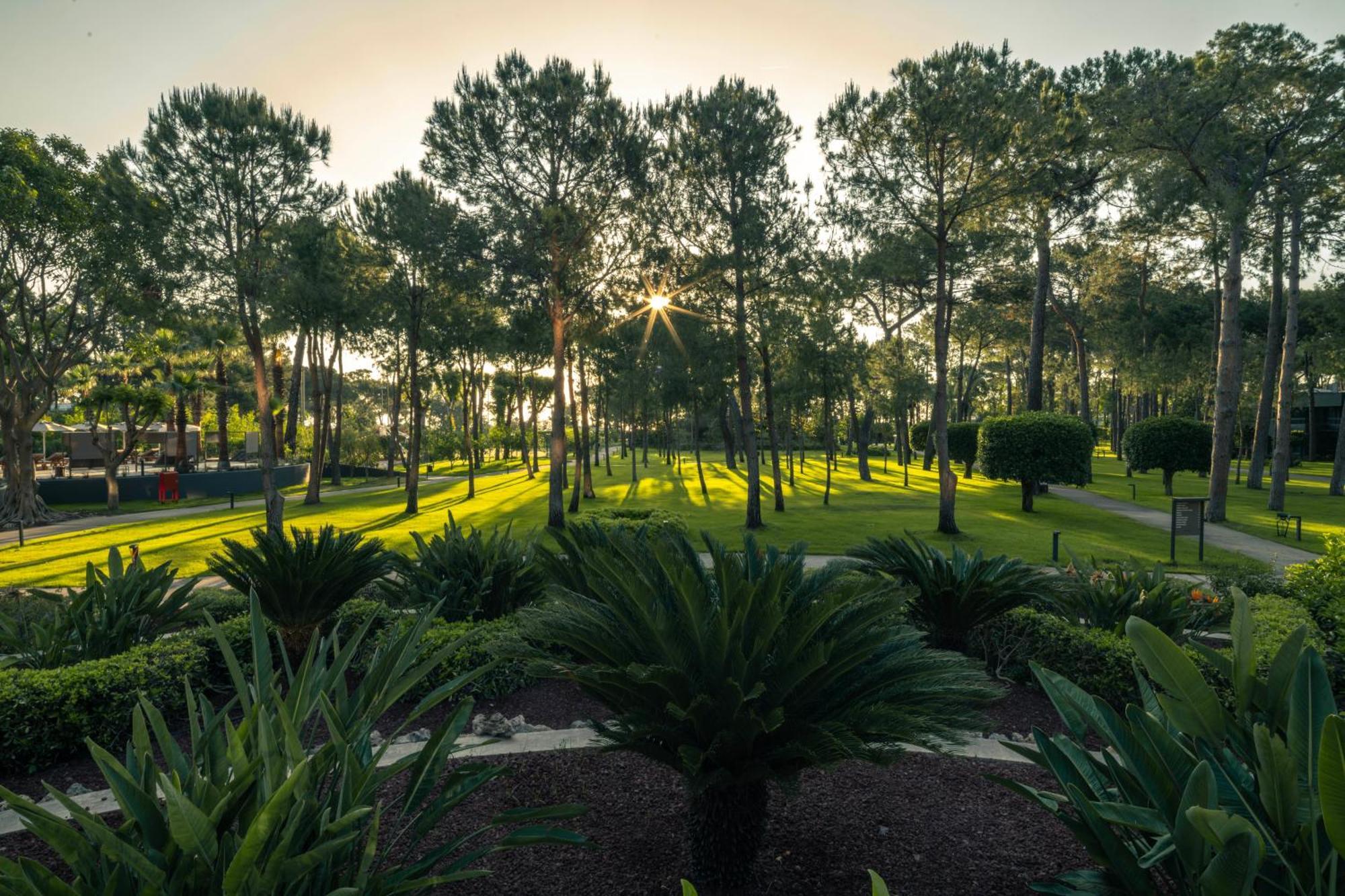 Balmy Foresta Beldibi  Exterior foto